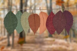Autunm colored leaves hang on rope